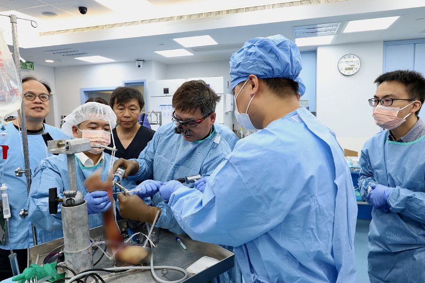 HK Wrist Course 2024 - Workshops  - 212 of 241